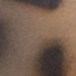 Eckige Cateye-Sonnenbrille