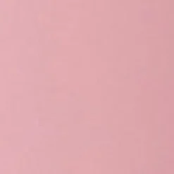 Femme Flair Lipgloss