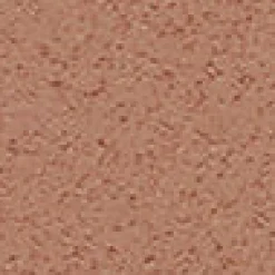 Medium Complexion Tint