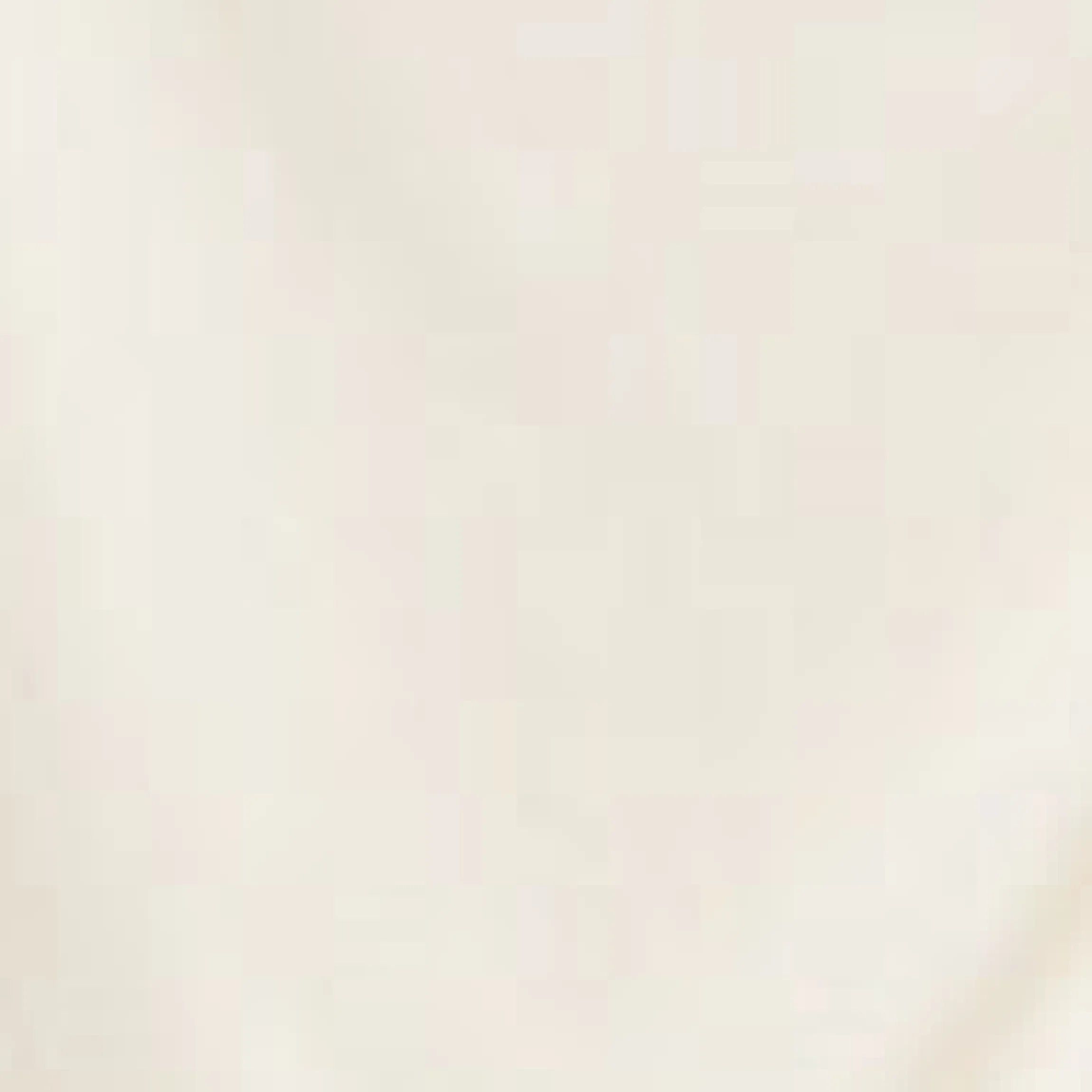 Ruche GoldBuckle Top