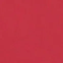 The Red Satin Lip Colour