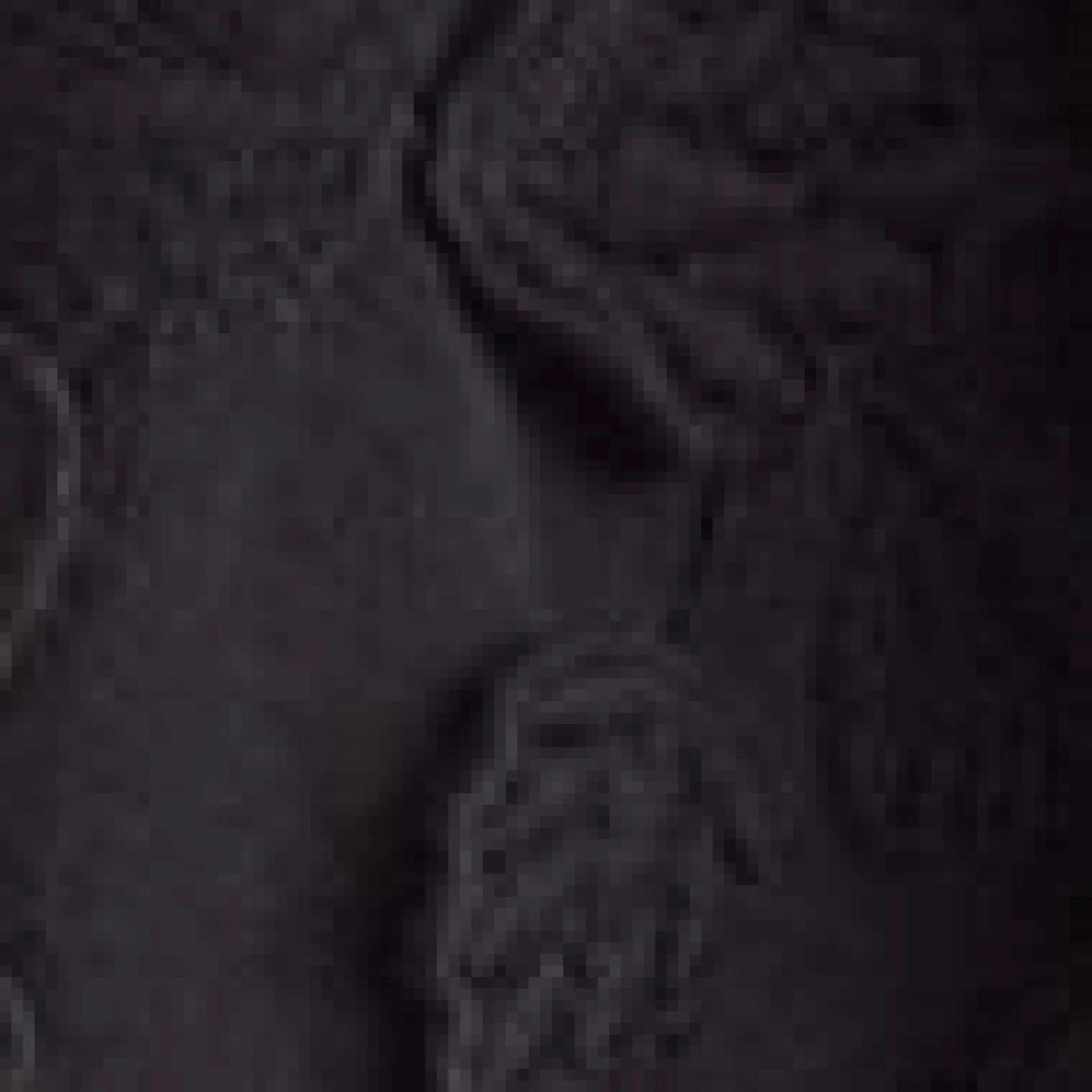 Voluminöse Bluse mit Blumenapplikation